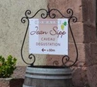 Jean Sipp