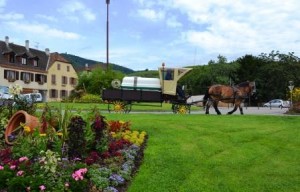 Arrosage des plante avec cheval