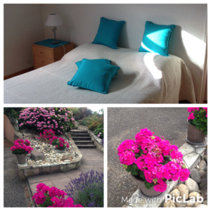 ETE EN ALSACE